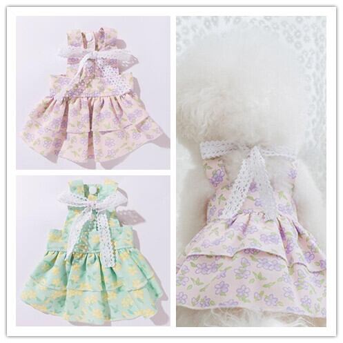 《予約》3101359 フラワースプリングワンピース