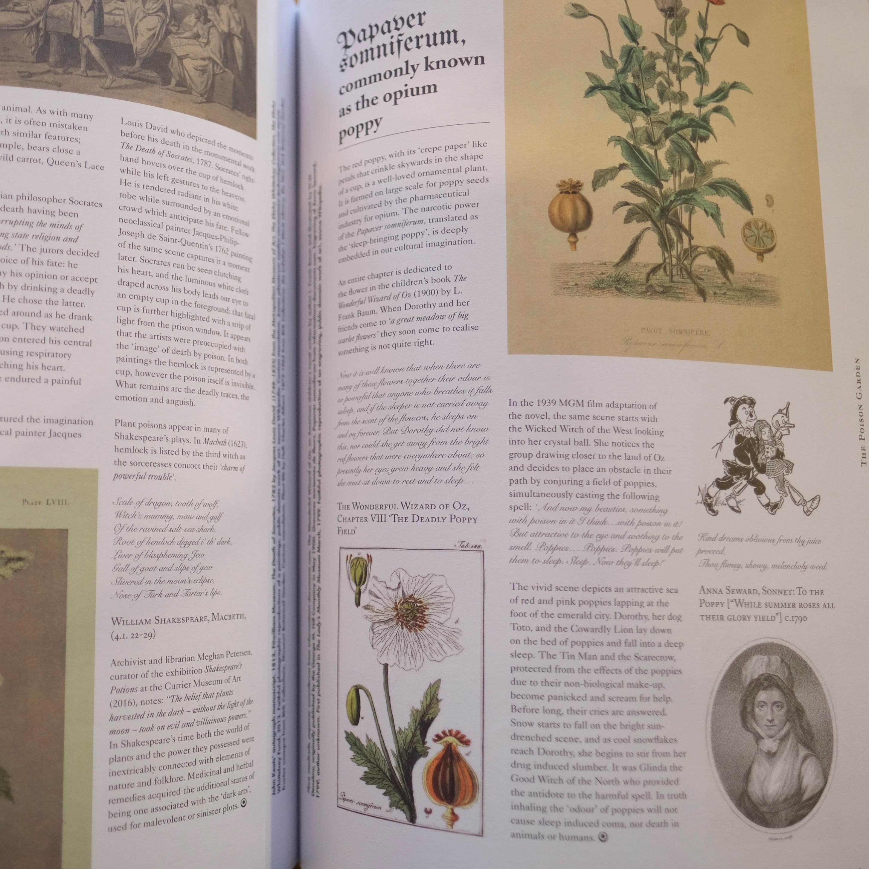 Blumenhaus / Blumenhaus magazine Issue3 | アトリエみちくさ