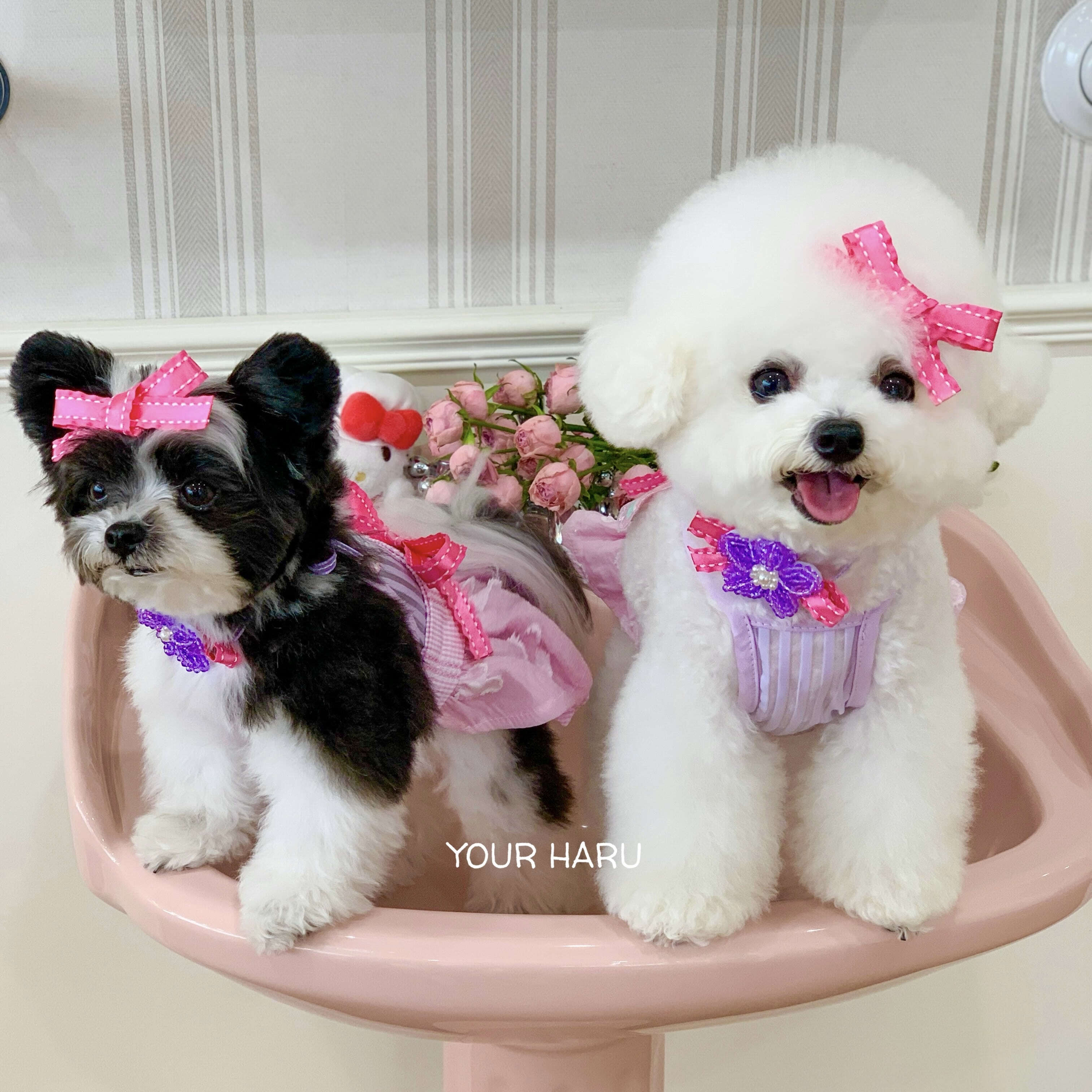 予約【yourharu】Kitsch Ribbon Pin ( pink / blue )