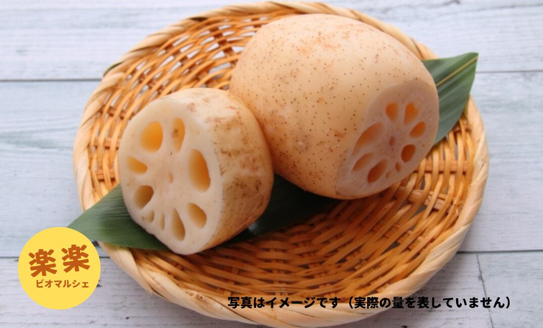 レンコン