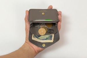 ポーチ型ミニ財布-POCHI 2 GRAY