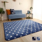 マイクロファイバーデザインラグマットSSサイズ 100140cm 洗えるラグマット カーペット
