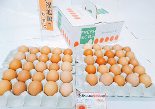 福地鶏の卵　50個セット（58g～70g）