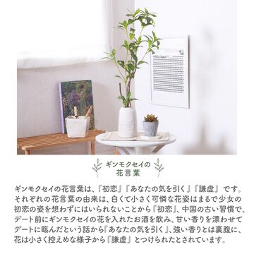 ティンハウスプランター アンティーク 底穴有 ガーデニング | PAY ID