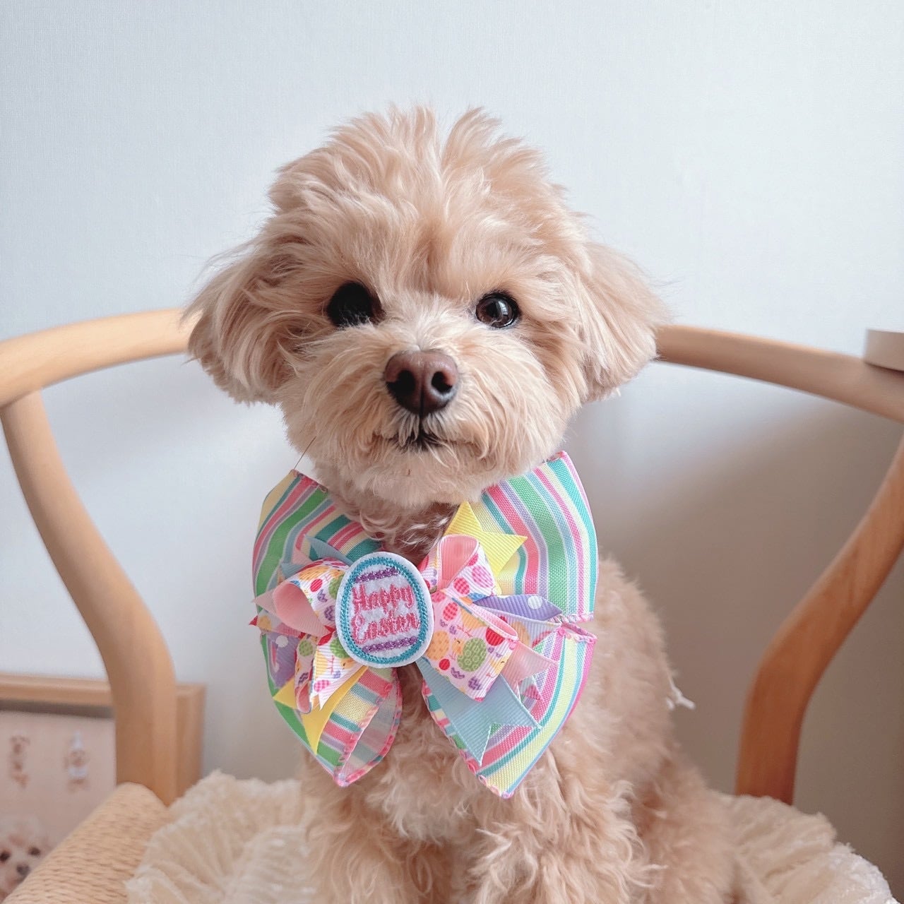 ハッピーイースターリボンネックバンド