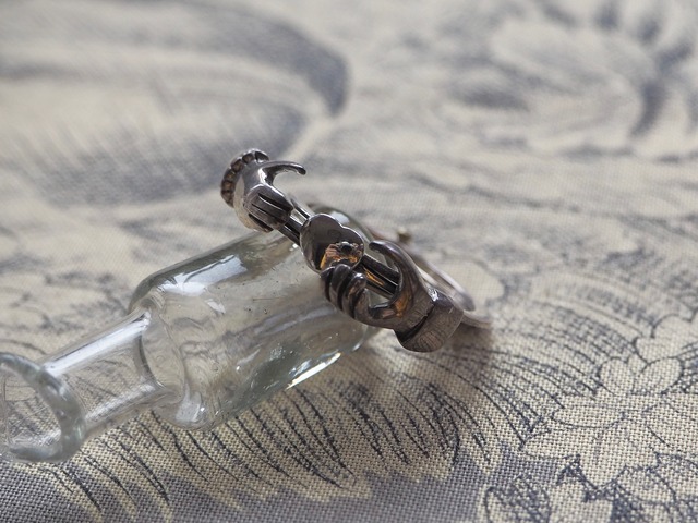 手の美術展 AMERICA 925sv gimmick fede ring