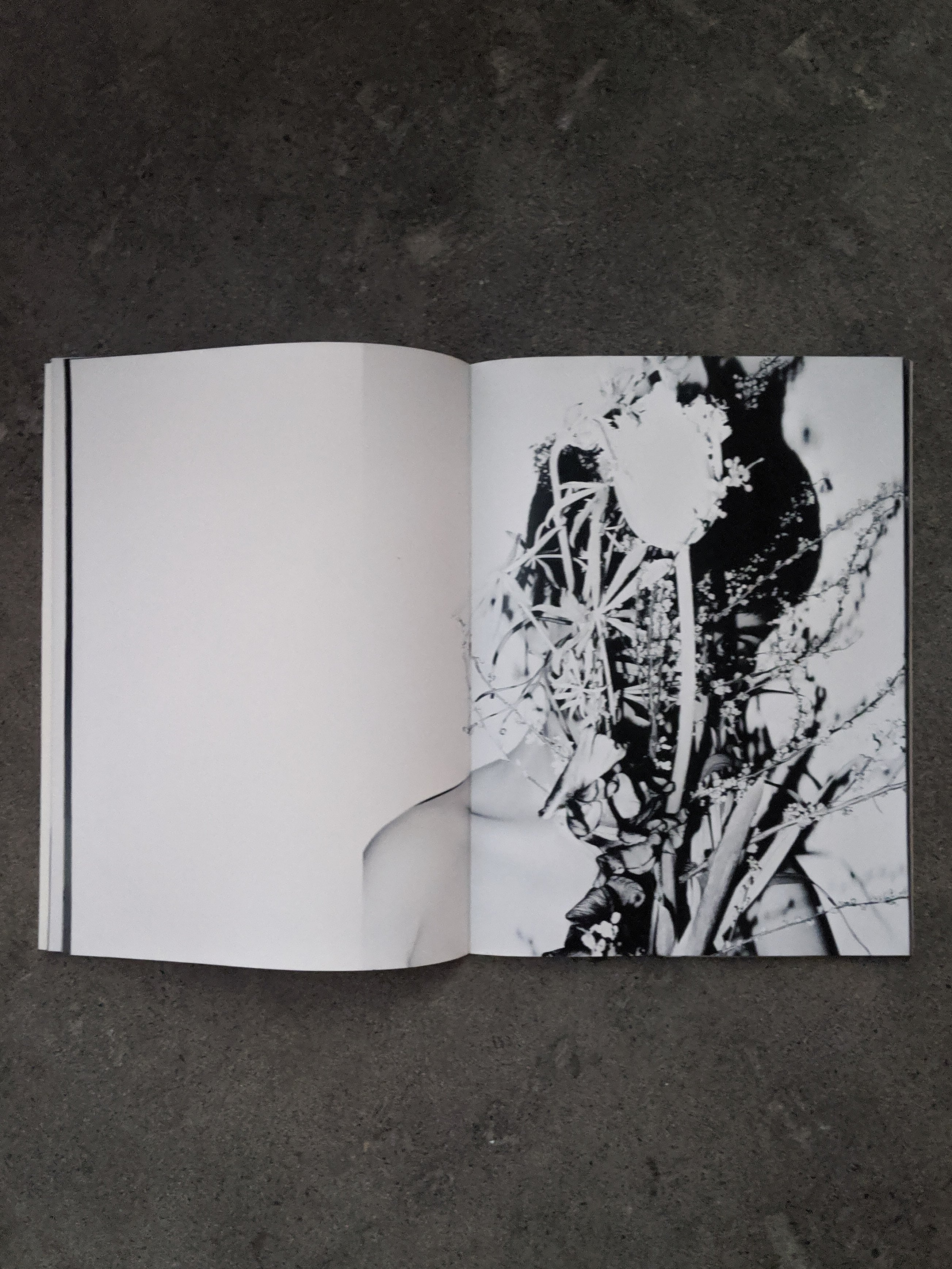 岡田佑里奈 yurina okada シルクスクリーン ED30 岡田 佑里奈/Yurina Okada - biscuit gallery