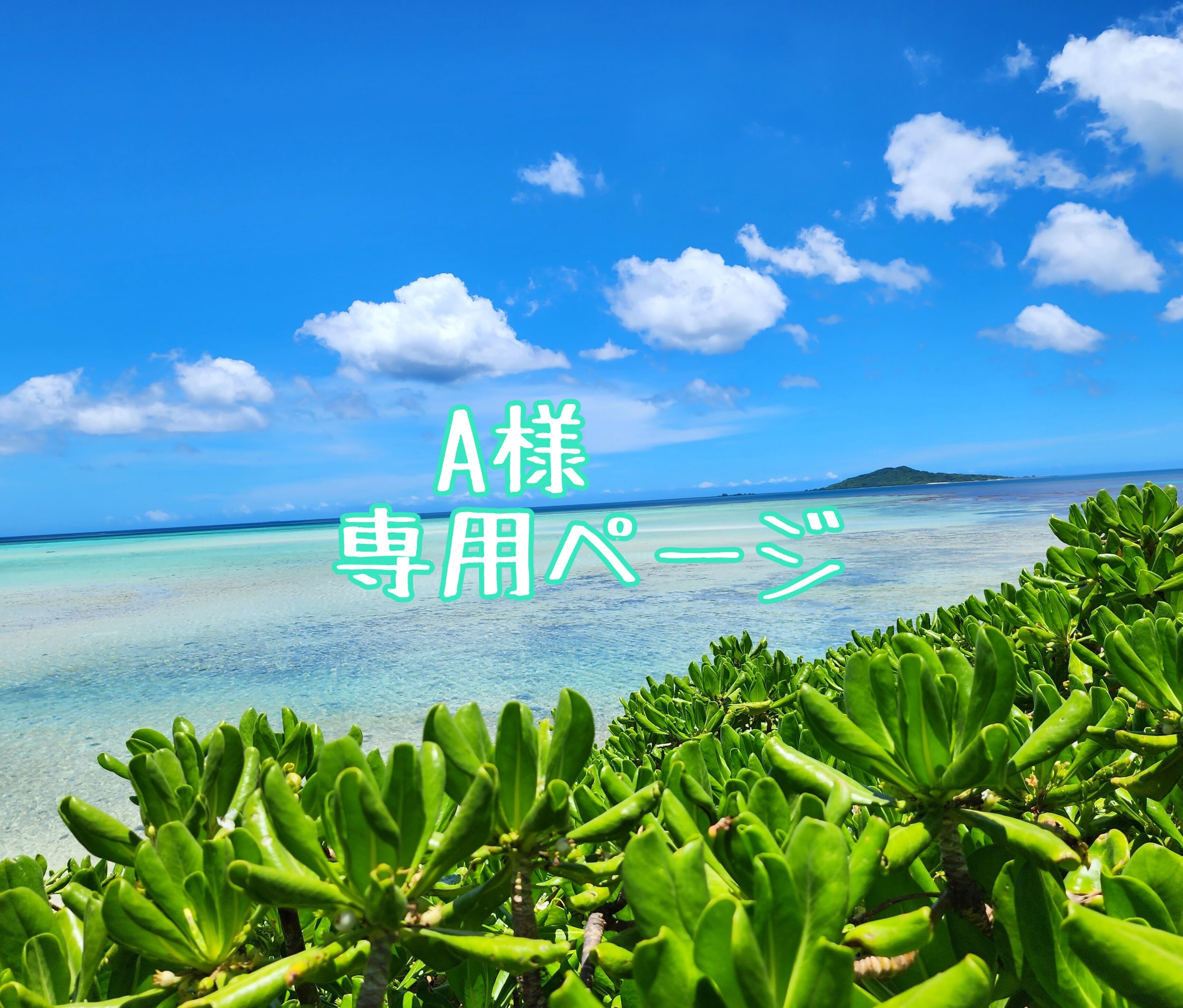 A様専用ページ | Leaf Edgez A様専用ページ | Leaf Edgez
