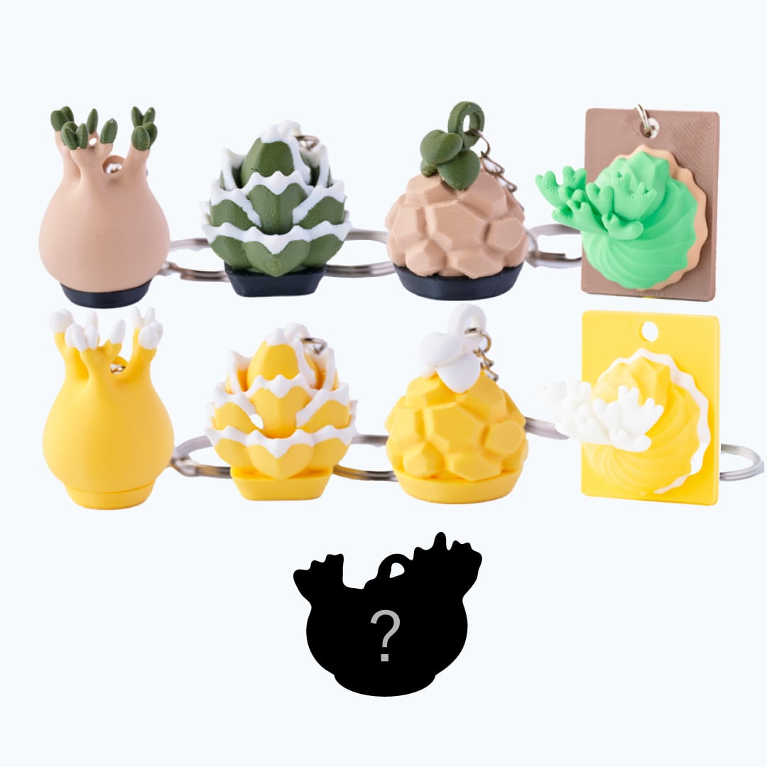 第一章フィギュアセット　TNOK＋DB＋観葉植物くん 珍奇植物フィギュアBOX vol.1 | YOAKE GREEN SHOP