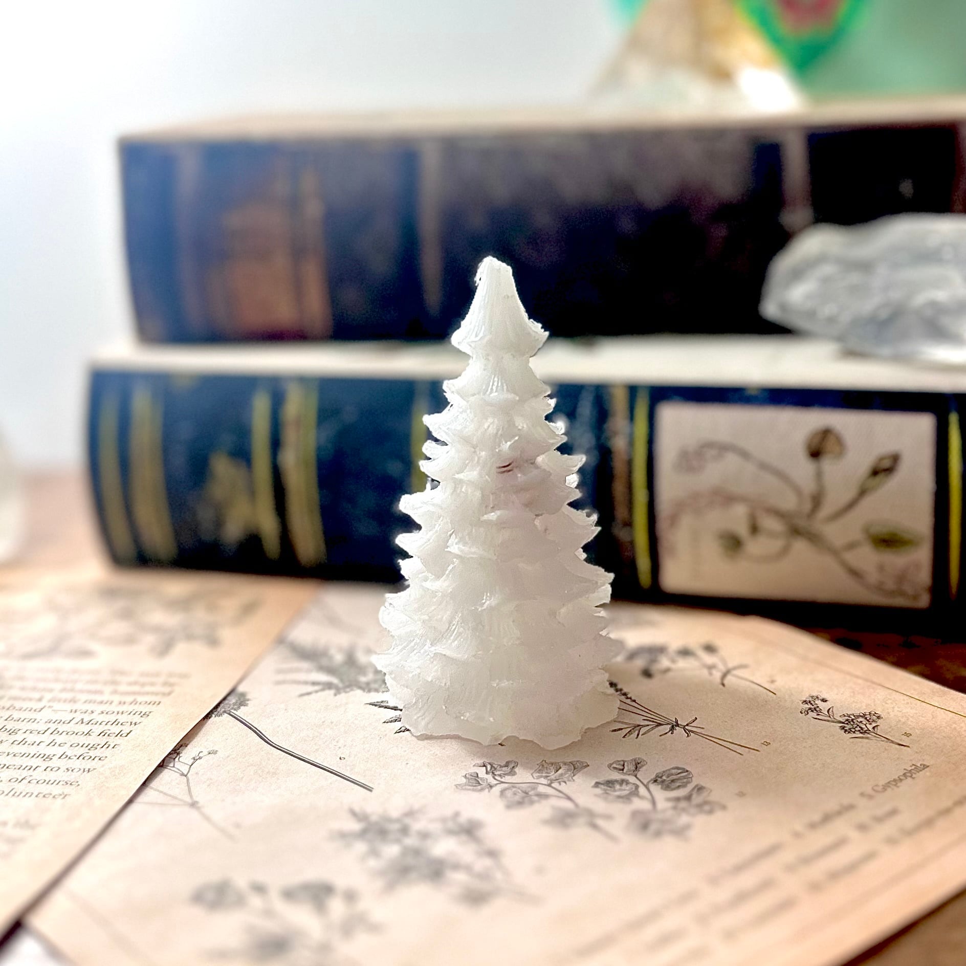 ミニクリスマスツリー》水晶【雪化粧もみの木】一点物オルゴナイト