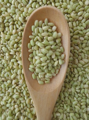 【2025年産】新米予約【500g】有機緑米