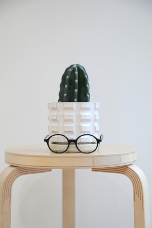 【S】柱サボテン/Cereus　※陶器鉢付き