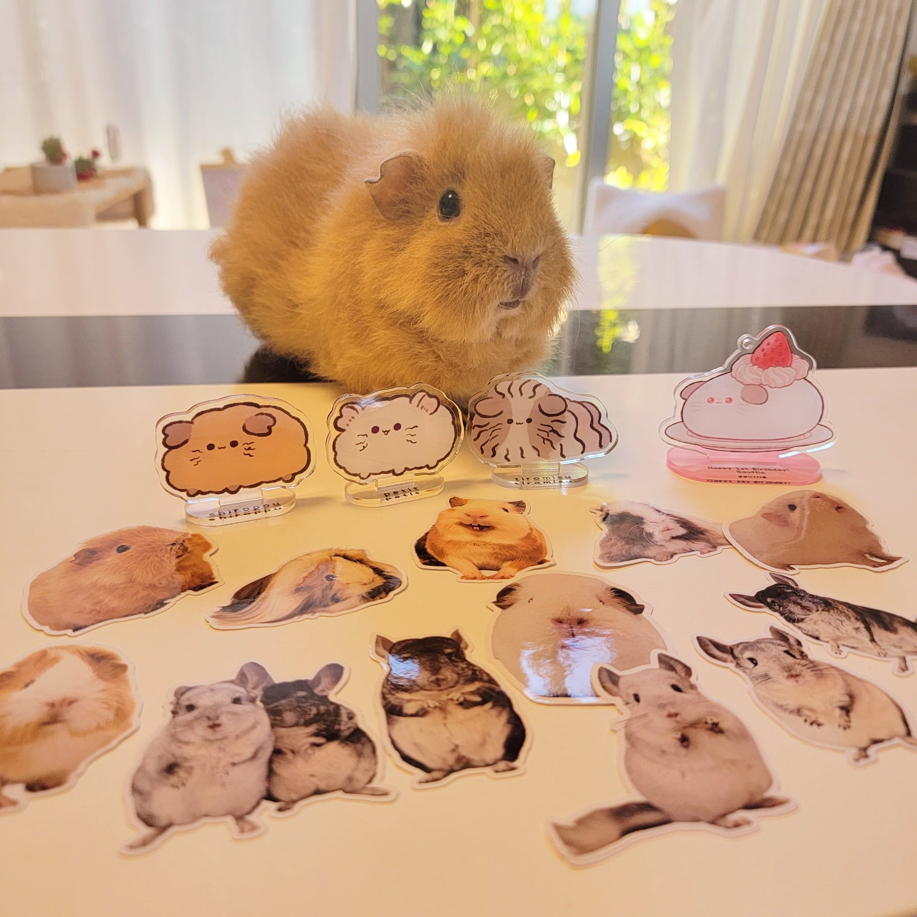 もふかふぇ 選べるステッカー | mofucafe