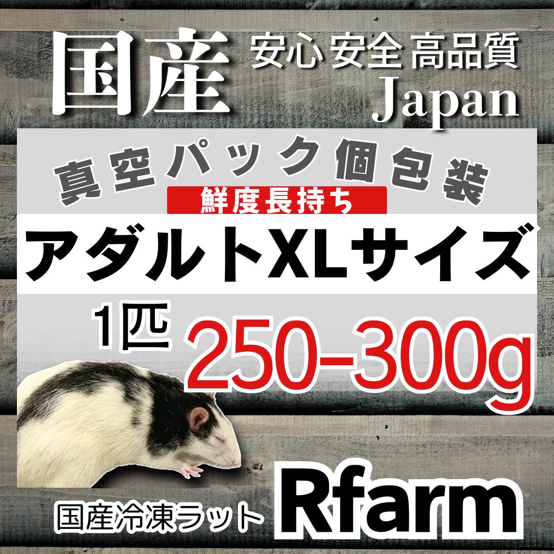 冷凍ラットアダルトXL [±250-300g] | 国産冷凍ラットRfarm・アール