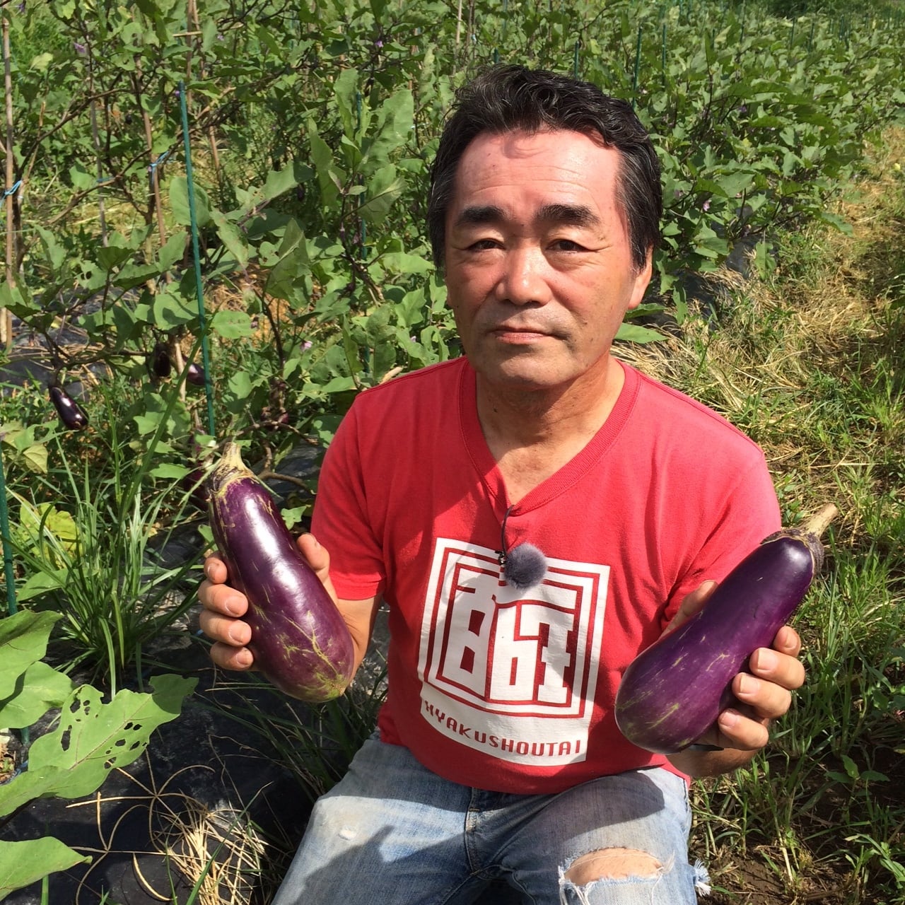 百姓が作った宮崎伝統野菜 佐土原なすドレッシング 200ml | 宮崎