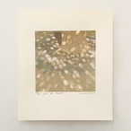 笠井正博"jeu de lumiere 光の戯れ" シルクスクリーン KASAI Masahiro/silkscreen thumbnail 1