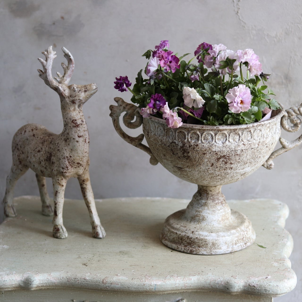 鉢（陶器・ブリキ） | 寄せ植え お花のプレゼント モンディマンシェ