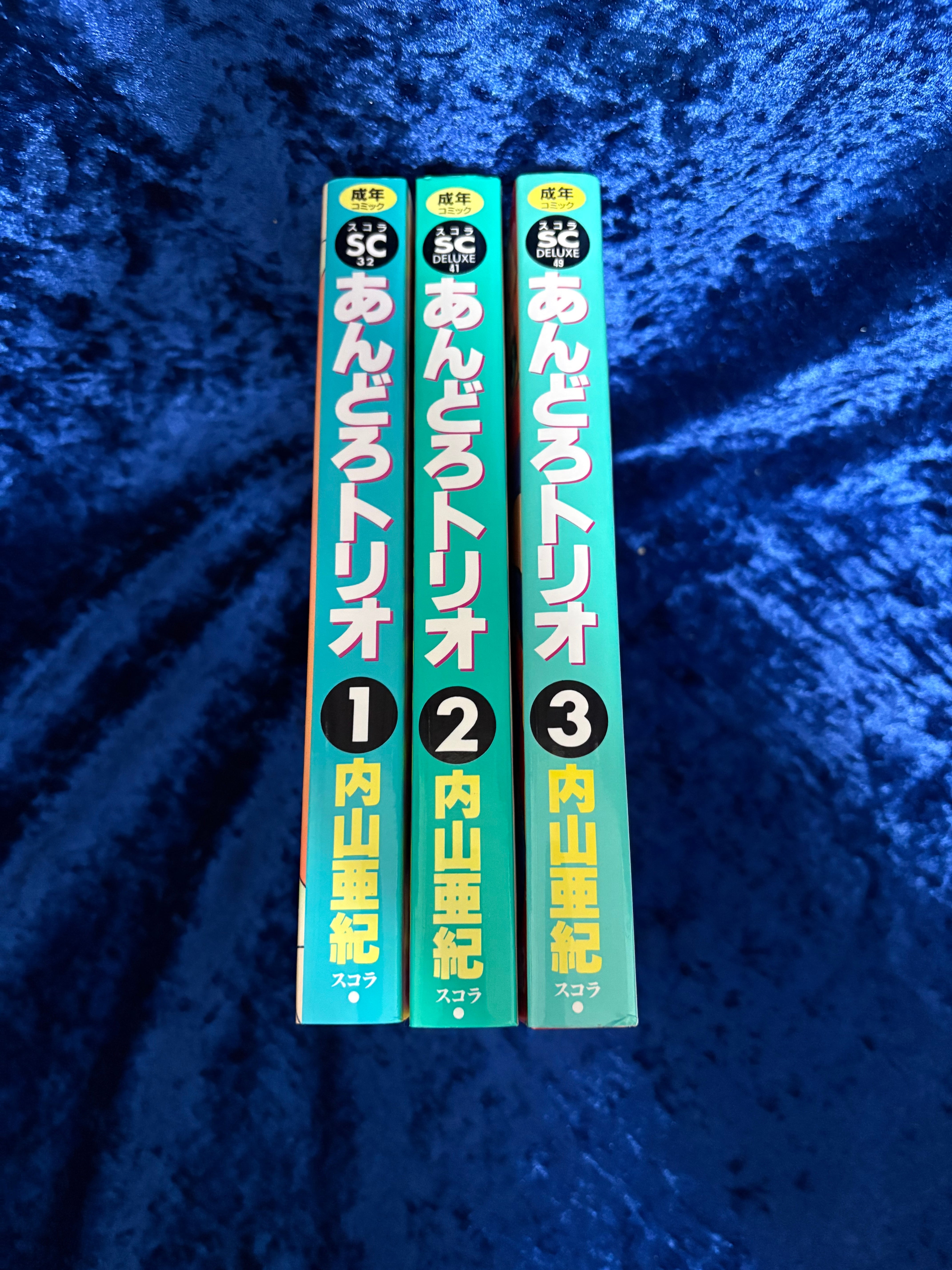極美品 内山亜紀「あんどろトリオ 全3巻」全巻初版注文カード付 スコラ
