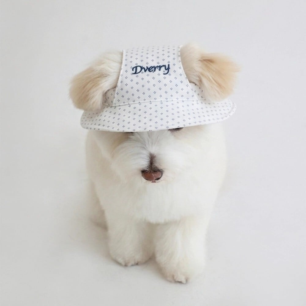 予約】[Hi yeboo] Fluffy Cushion Bag / Mサイズ | LUANA DOG