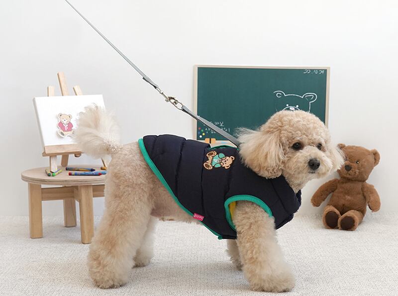 campus bear padding S ~ 2XL 2color  /  犬服 秋冬 新作 アウター リード通し もこもこ ドッグウェア ダウン ベスト 小型犬 中型犬 猫 お揃い シンプル