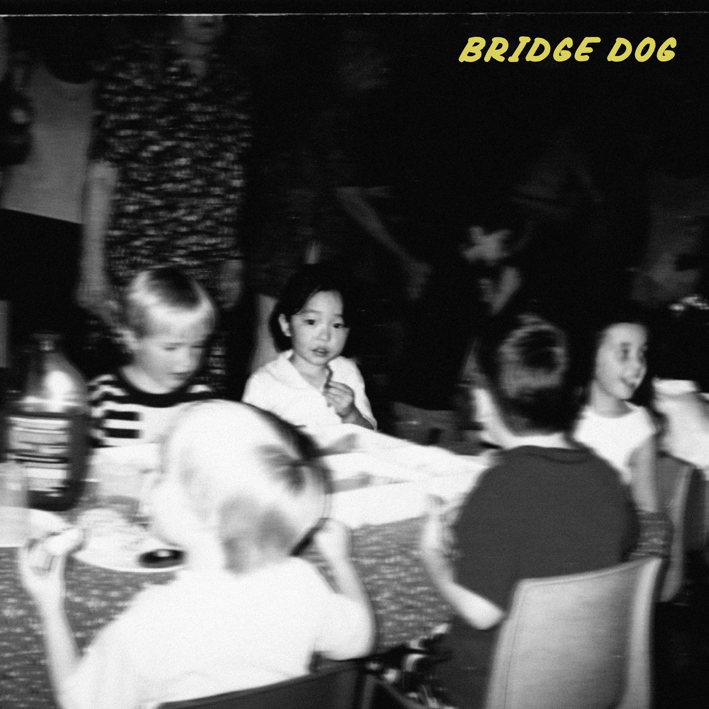 【予約商品 / 10.21 Release】Bridge Dog / Auto Fictions(Ltd Milky Cream LP w Japanese Obi)