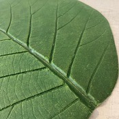 ラテックスマット リーフ ライトグリーン L(2)