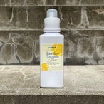 LIVRER【夏季限定】 LAUNDRY DETERGENT Sports Lemon / 600ml