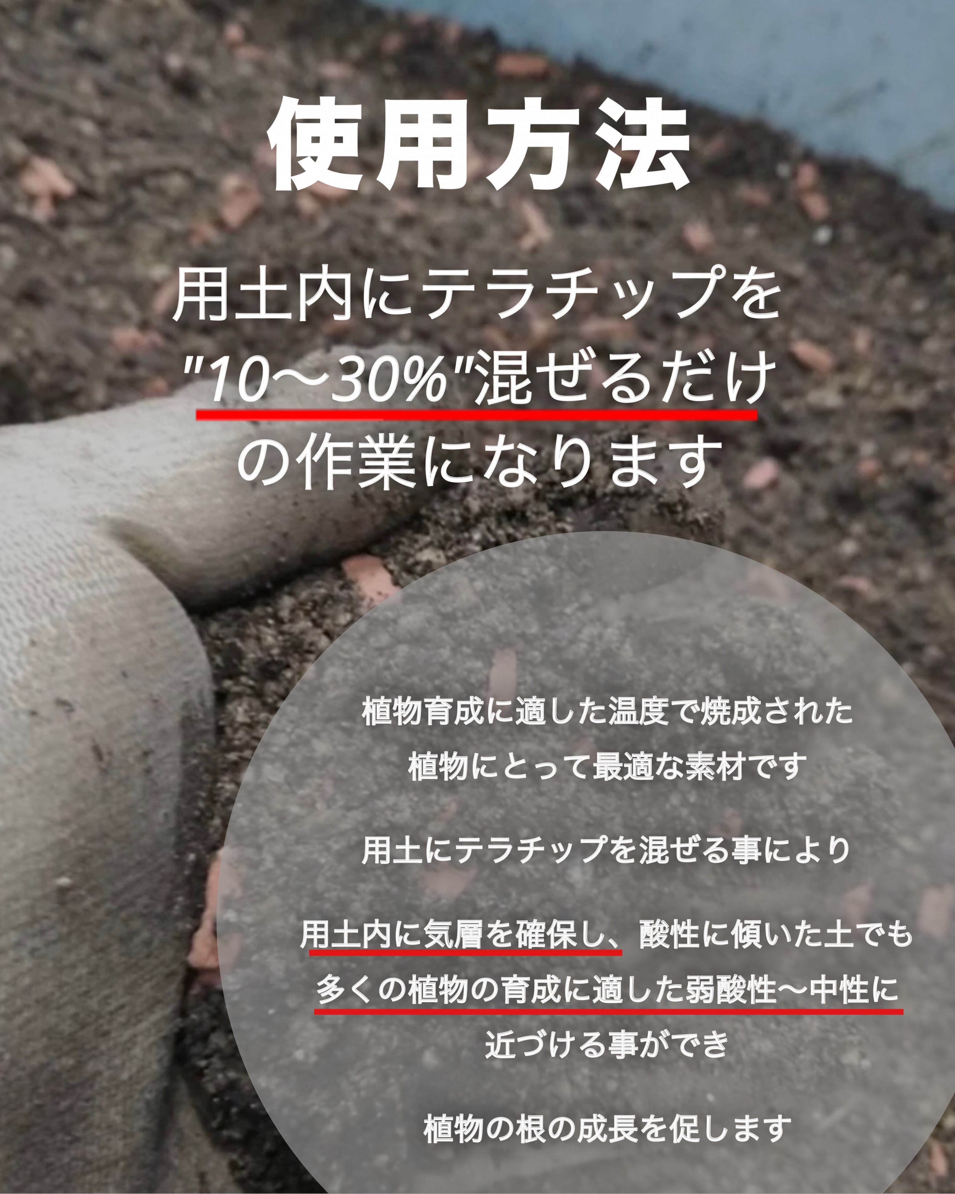 赤焼2L 【テラチップ®︎】 | PAY ID