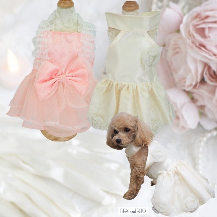 ぶんちゃん様専用、ハロウィン仮装♥️ベッドドレス、わんちゃん猫 ぶんちゃん様専用、ハロウィン仮装♥️ベッドドレス、わんちゃん猫