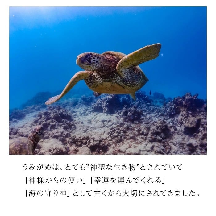 レジンアートウミガメキーホルダー | オーガニック島（㈱PureHealing）