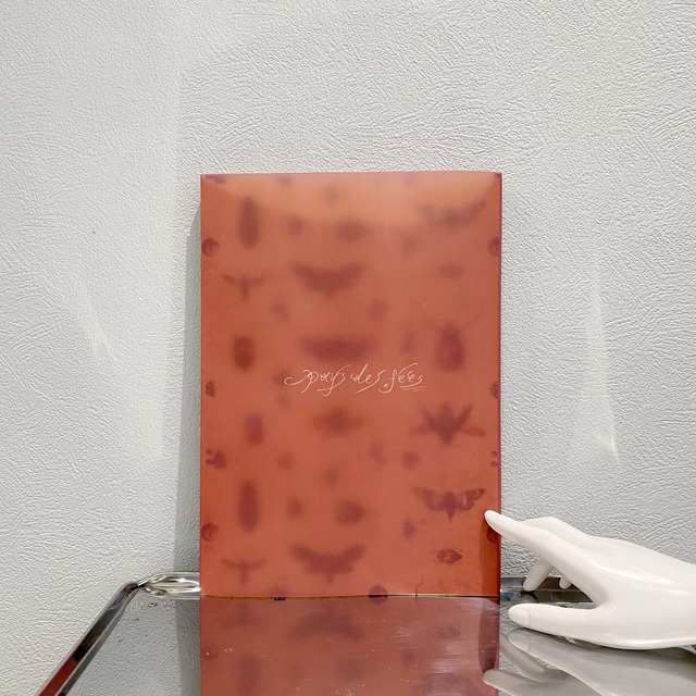 pays des fées 20th ANNIVERSARY BOOK【pays des fees】