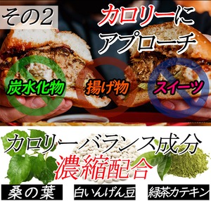 ★炭のチカラでスッキリダイエット★【チャコール ダイエット 黒のチカラ】毎日スッキリ生活始めませんか？活性炭ダイエットサプリメント【たっぷり!!3ヵ月分!!】 炭のパワーですっきり生活 内からスッキリクレンズ 炭ダイエット活性炭 サプリ【期間限定84％OFF】1日だった22円でしっかりサポート（大容量３ヶ月分）
