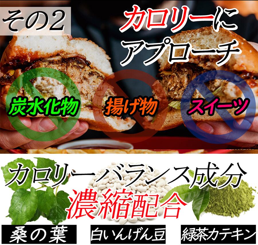 ★炭のチカラでスッキリダイエット★【チャコール ダイエット 黒のチカラ】毎日スッキリ生活始めませんか？活性炭ダイエットサプリメント【たっぷり!!3ヵ月分!!】 炭のパワーですっきり生活 内からスッキリクレンズ 炭ダイエット活性炭 サプリ【期間限定84％OFF】1日だった22円でしっかりサポート（大容量３ヶ月分）