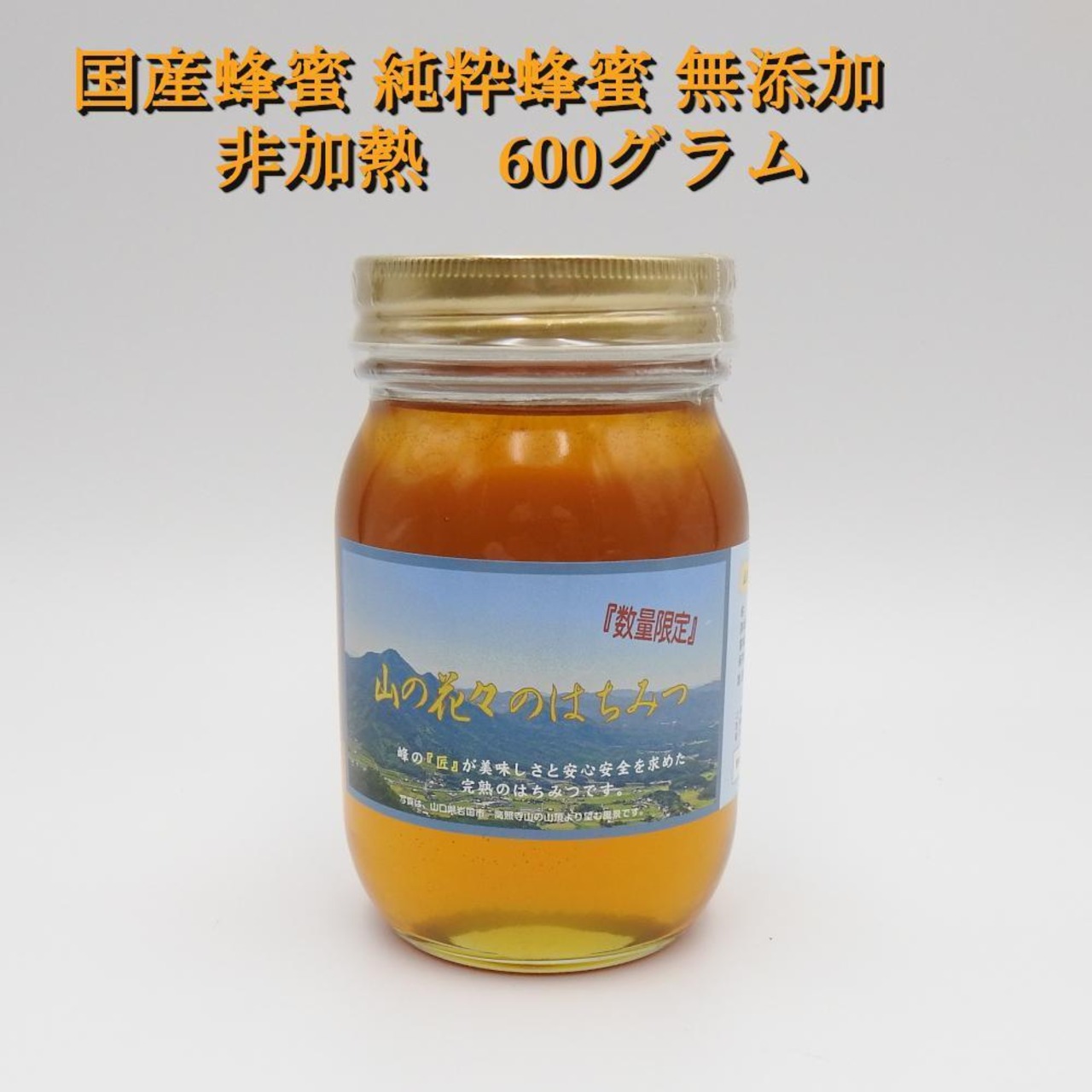 完熟 生蜂蜜 国産蜂蜜 純粋蜂蜜 無添加 非加熱 600グラム 1個 | linkbrand
