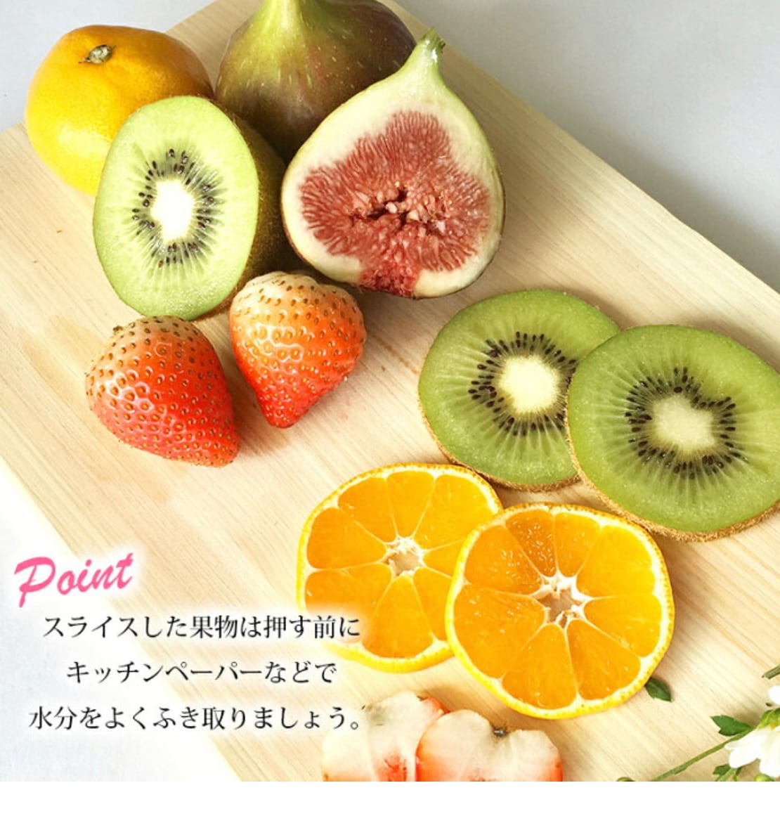 押しフルーツ・押し野菜乾燥シート | astin muhler | 押し花・押し