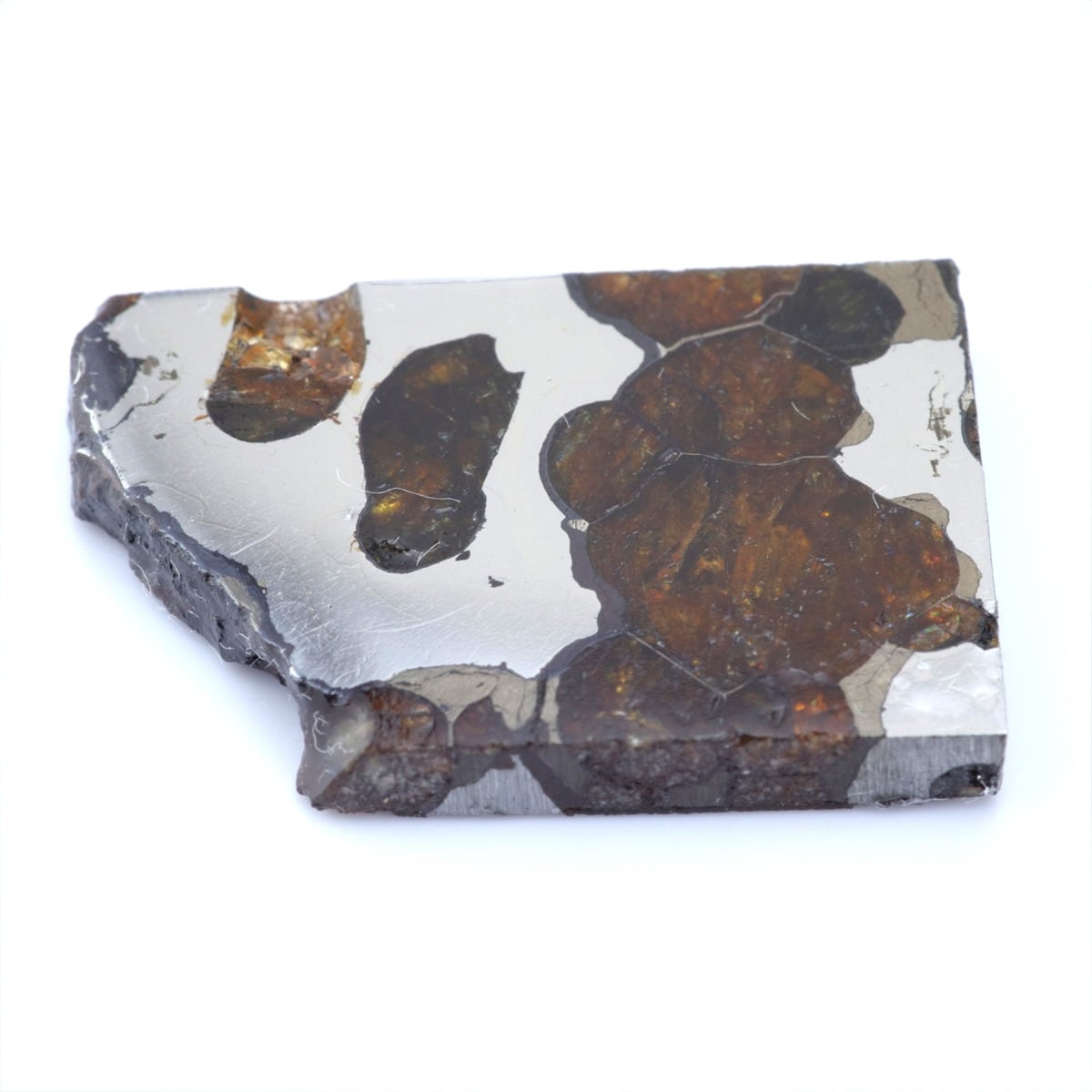 石鉄隕石 パラサイト | 隕石販売.jp