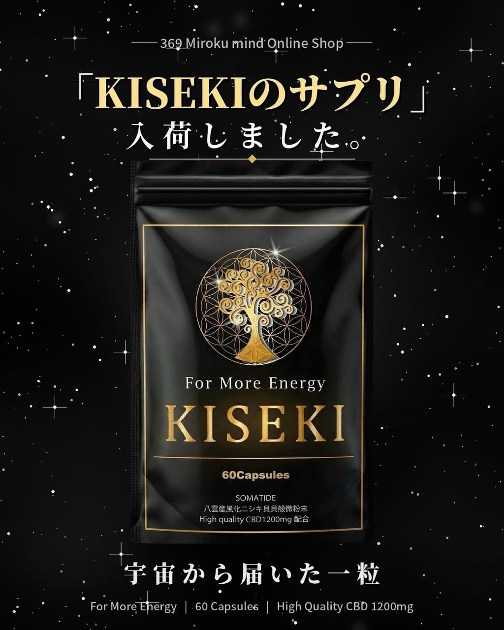 驚喜の検査結果が出ました！古代ソマチット粉末「KISEKI」 ソマチット