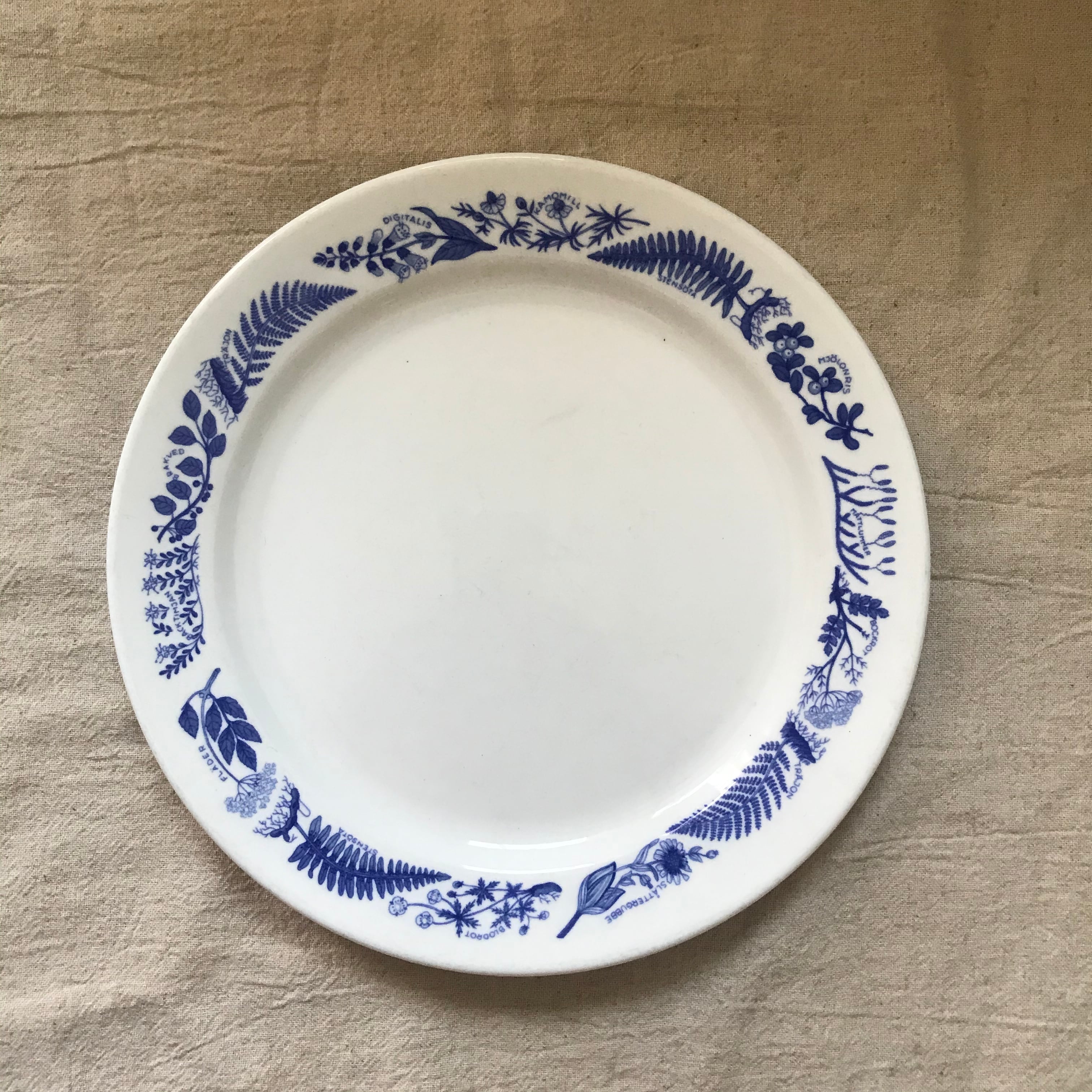 青い草模様の23cmプレート