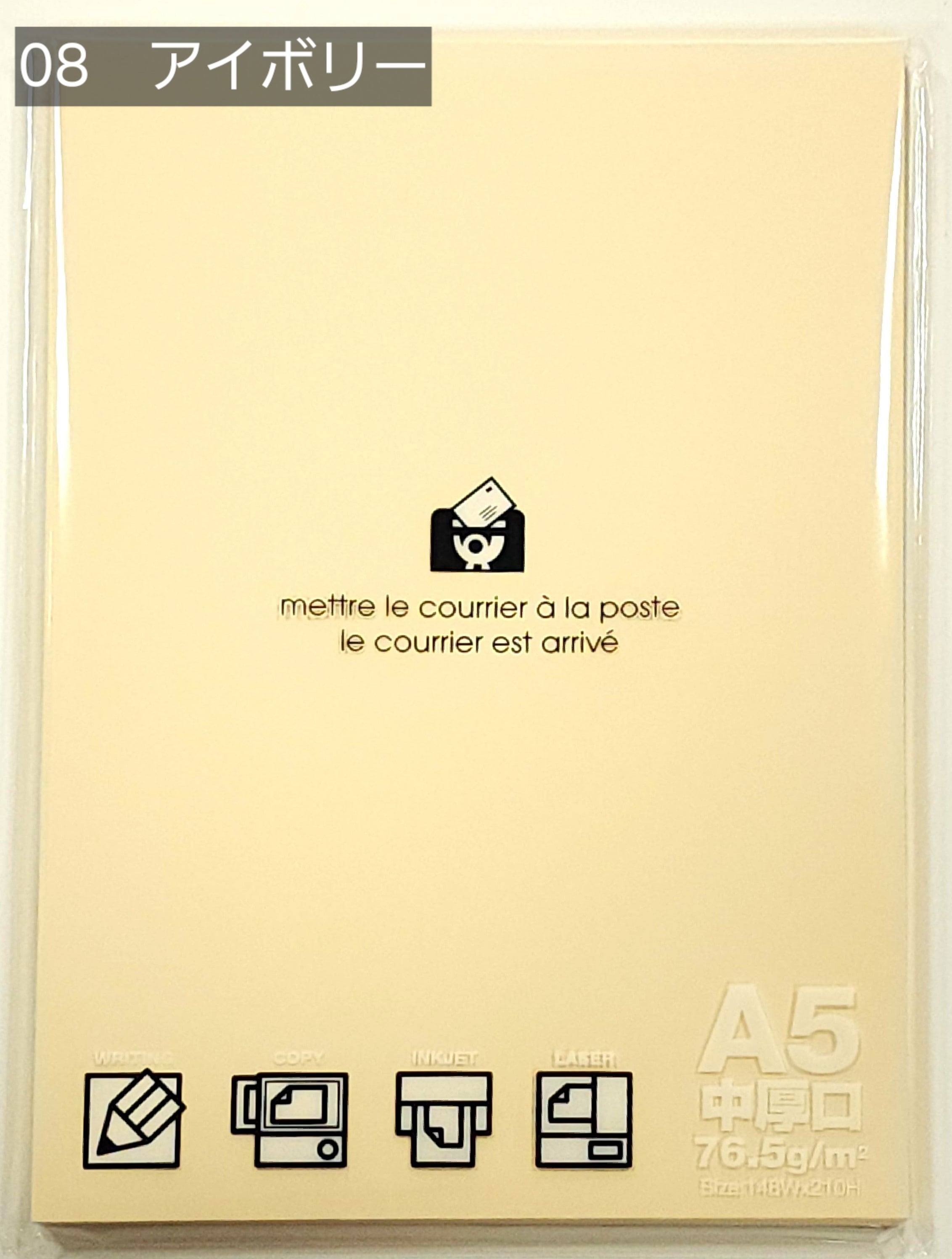 エトランジェ】フリーペーパー A5 パステル | Conte' | コンテ