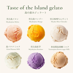 島の恵みジェラート（6個セット）