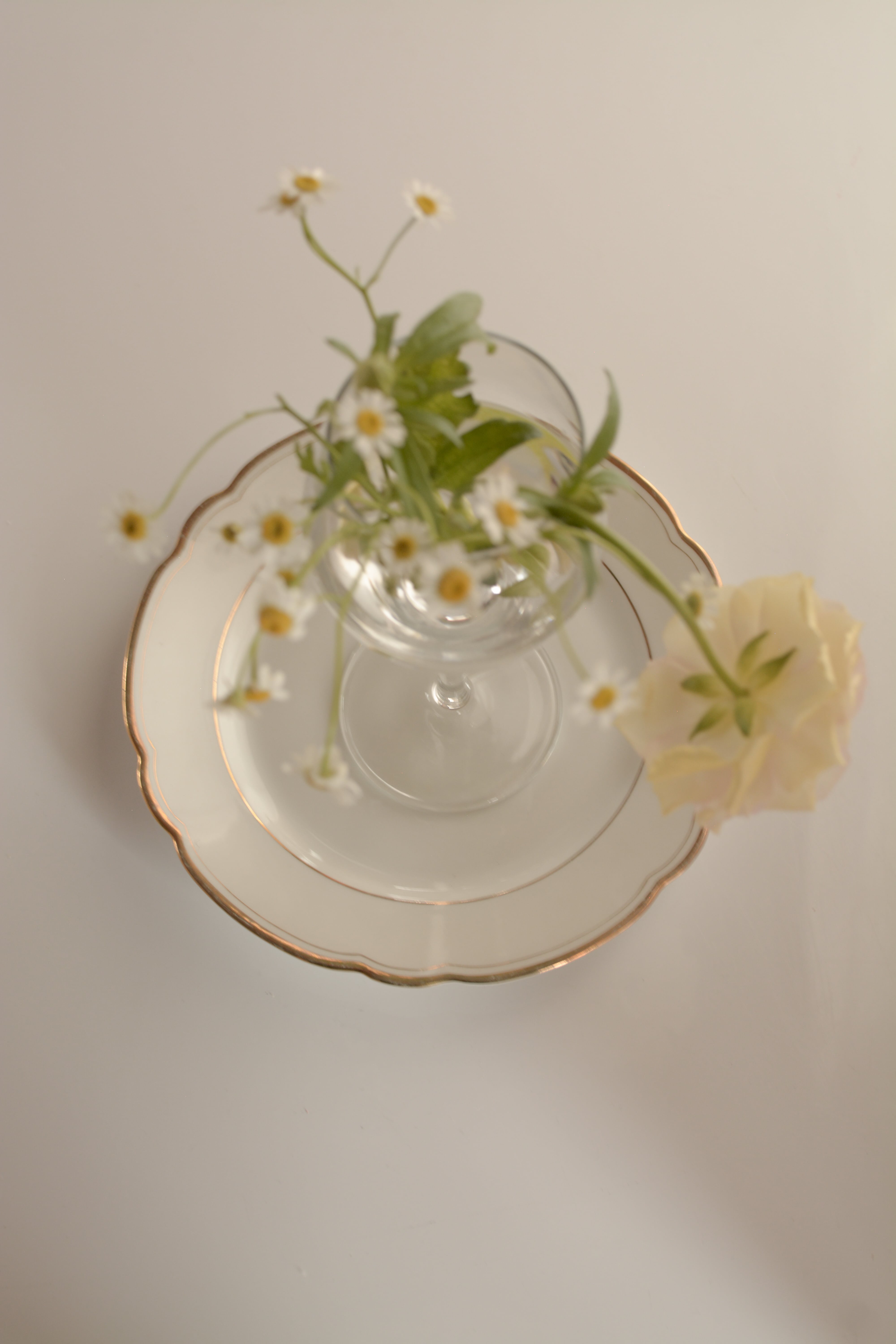 antique plate Felda Rhon Ⅱ