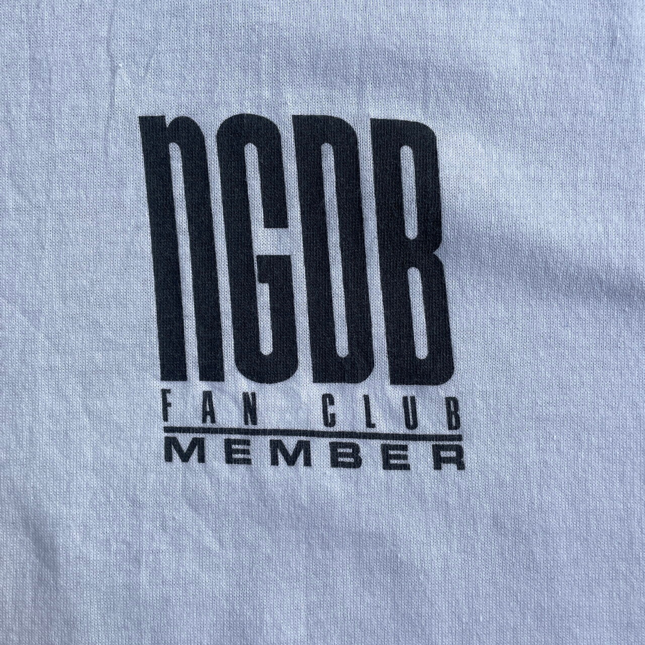 90年代 Nitty Gritty Dirt Band NGDB バックプリント バンドTシャツ 