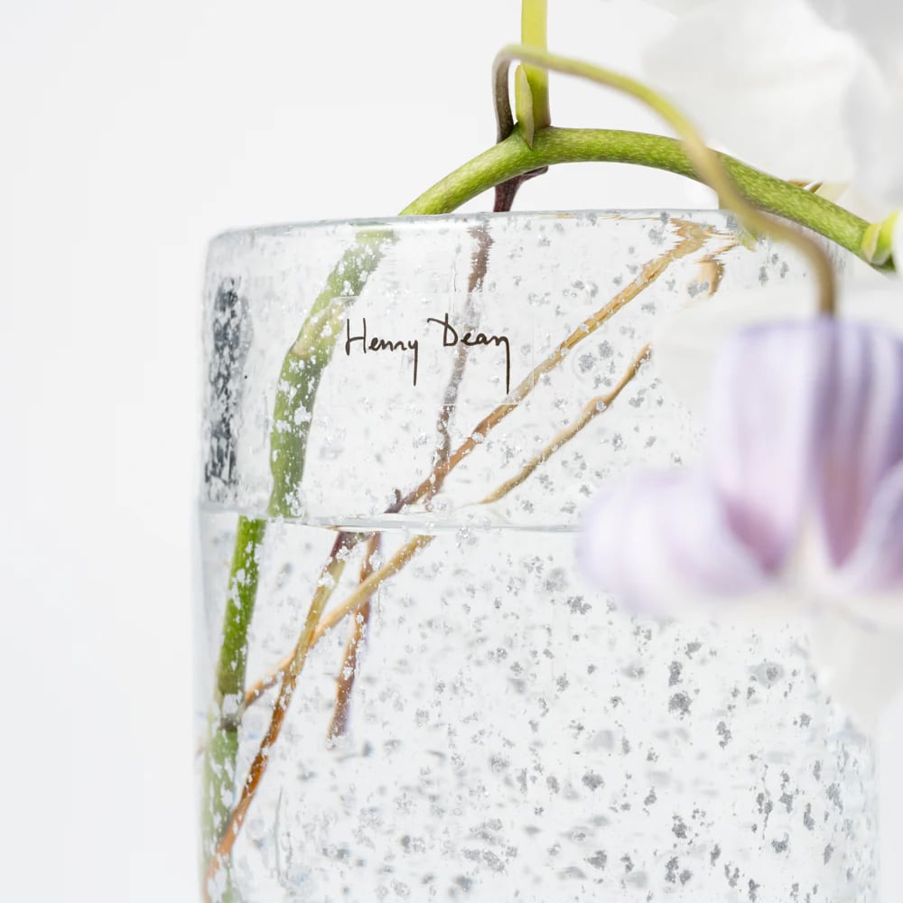 Henry Dean カーネリアン Joe Henry Dean Joe ビジュー | HANACHO exotics plants