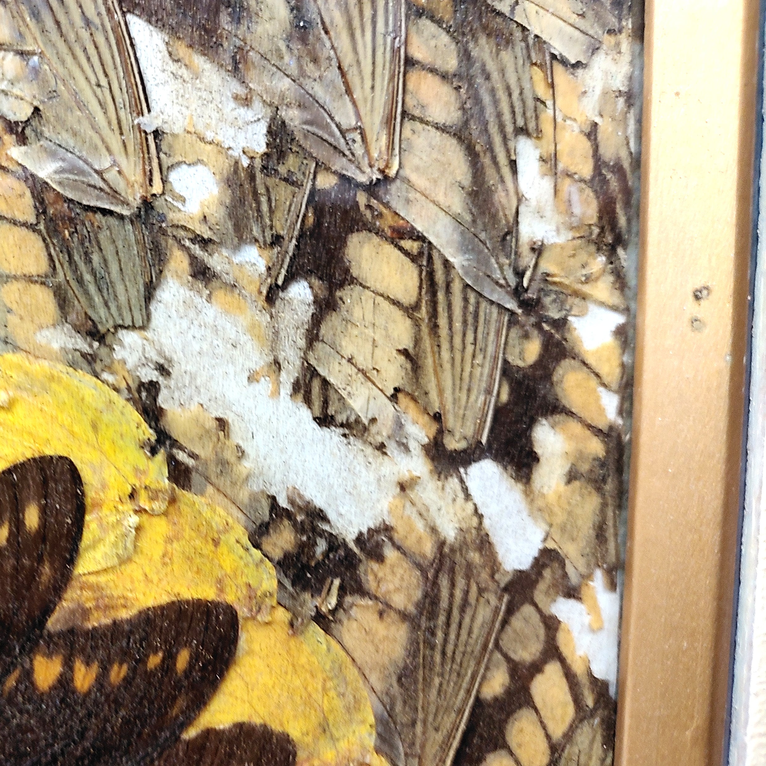 d6a5123ac06f0a23cfda38a5ebd3ff