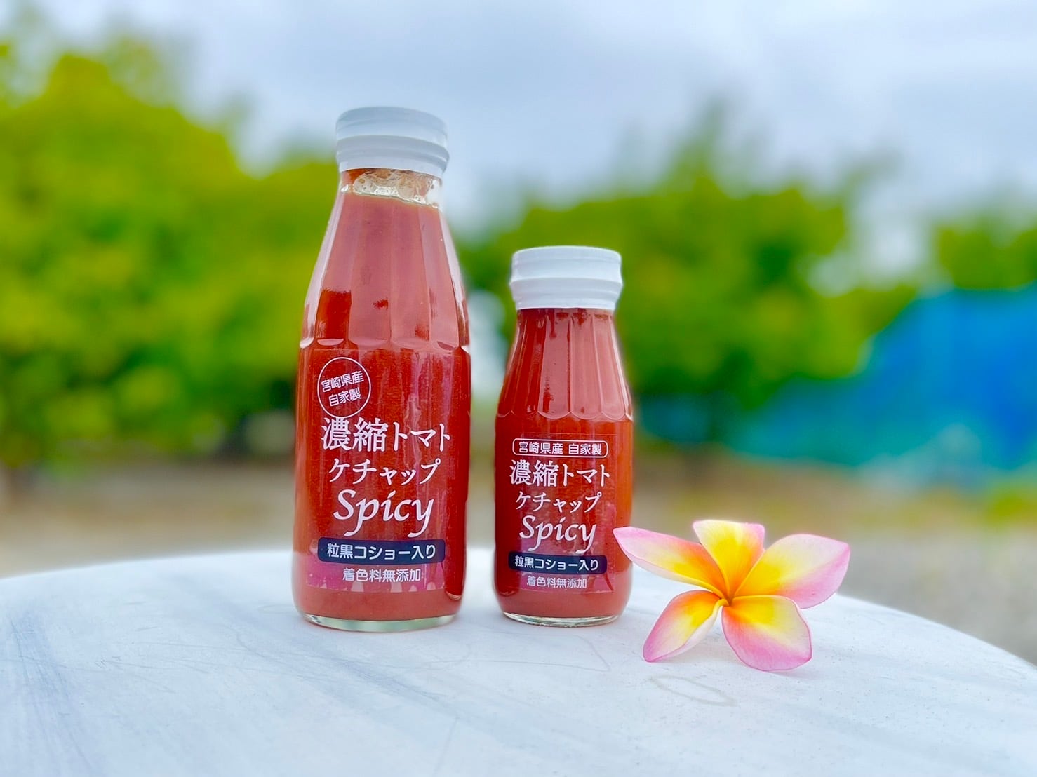 濃縮トマトケチャップ 390ml | 株式会社 大建農場