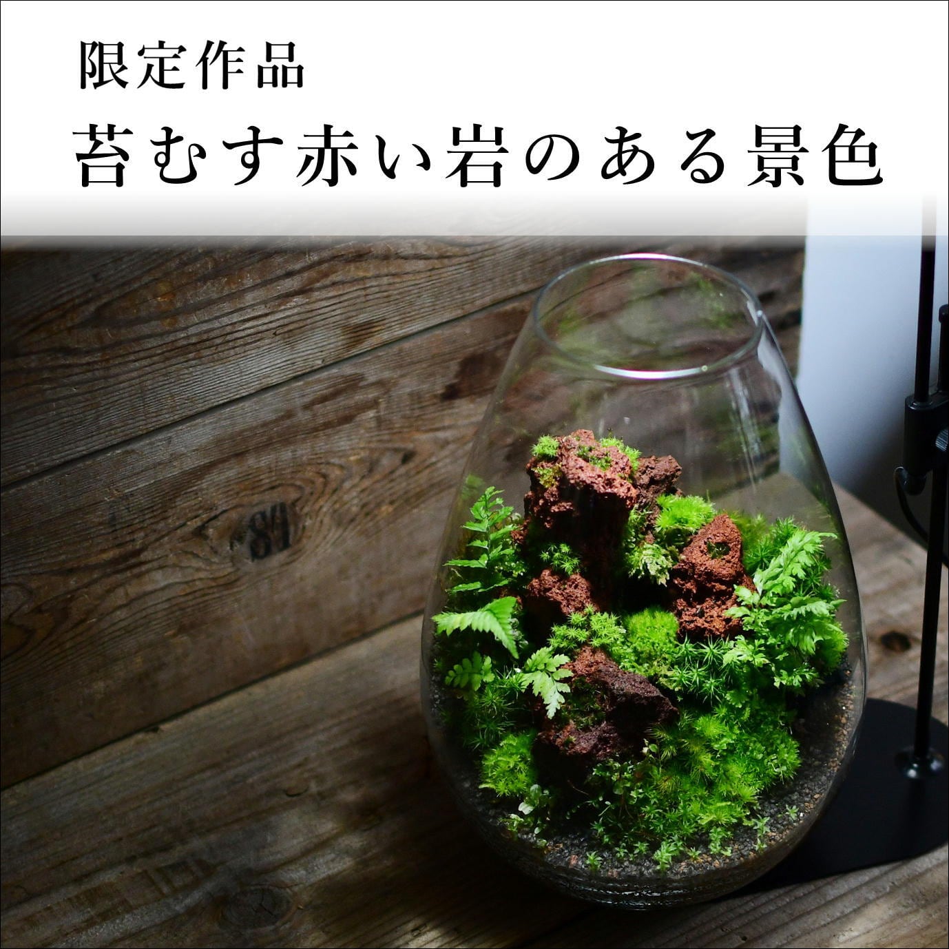 苔景 苔むす赤い岩のある景色 苔テラリウム 現物限定販売 21 12 10 5 苔テラリウム専門ショップ道草 苔景 苔むす赤い岩のある景色 苔テラリウム 現物限定販売 21 12 10 5 苔テラリウム専門ショップ道草