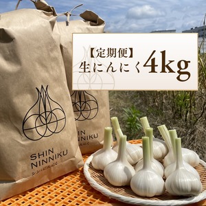 【公式LINE定期便】生にんにく（シン・にんにく）Aランク  Lサイズ ４kg（ 8-10玉程度/kg）