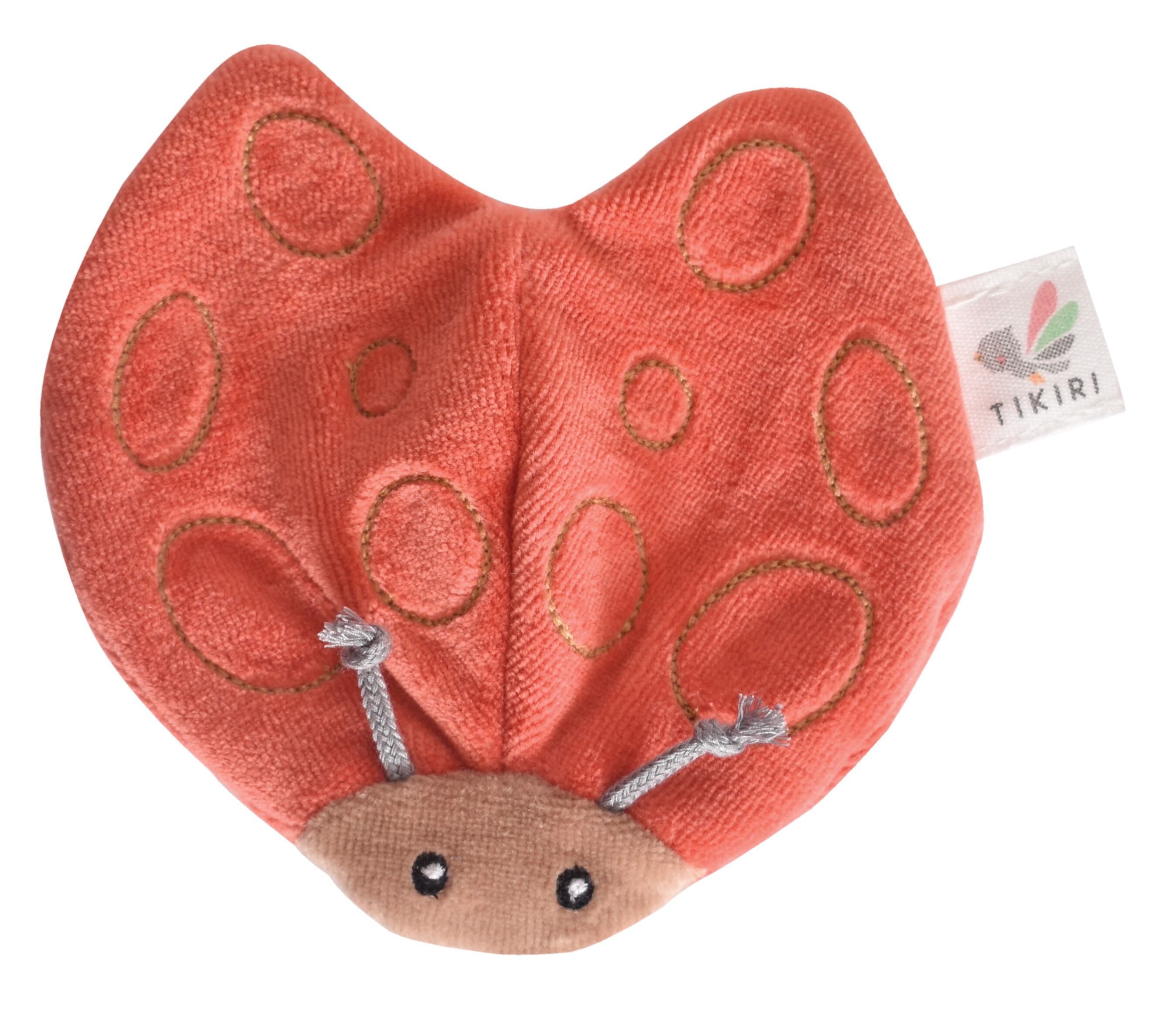 Lady Bug with Crinckle_93204