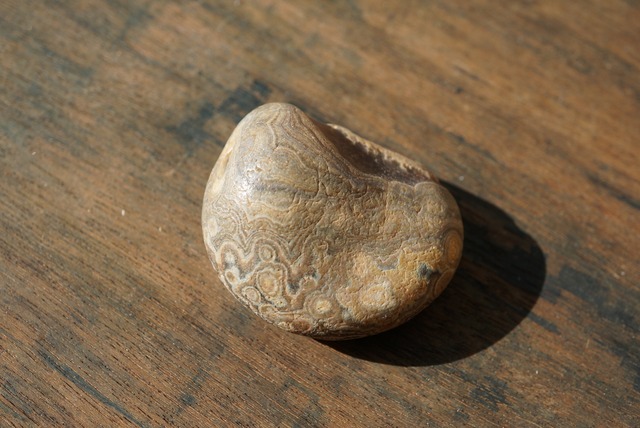 ババグーリ Babaghuri 1103