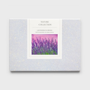 LAVENDAR FLOWERS〈ポストカード12枚セット〉